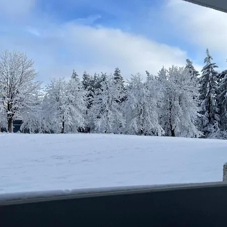 Ferienwohnung Auenglueck Hahnenklee Harz Goslar Esterno foto