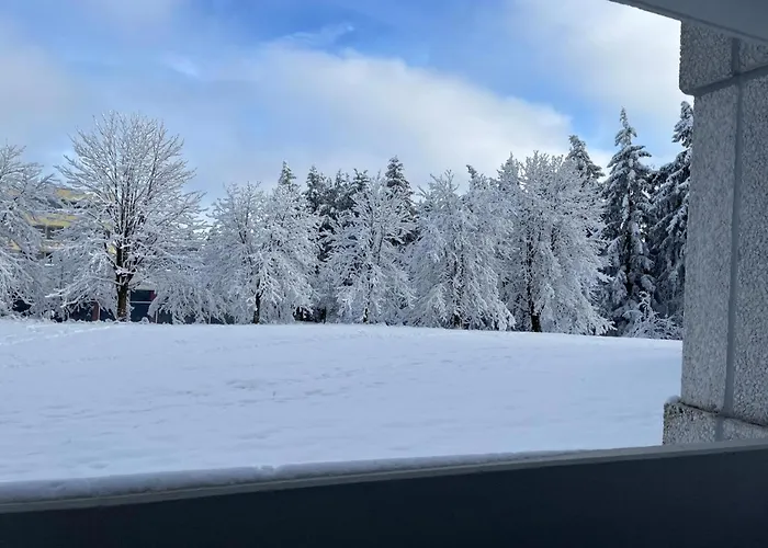 Ferienwohnung Auenglueck Hahnenklee Harz