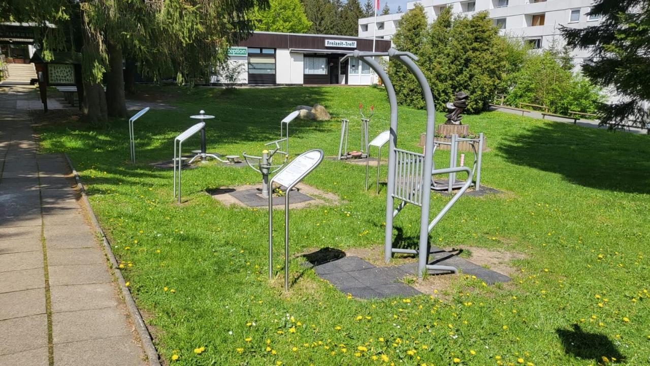 Auenglueck Hahnenklee Harz Apartment Goslar