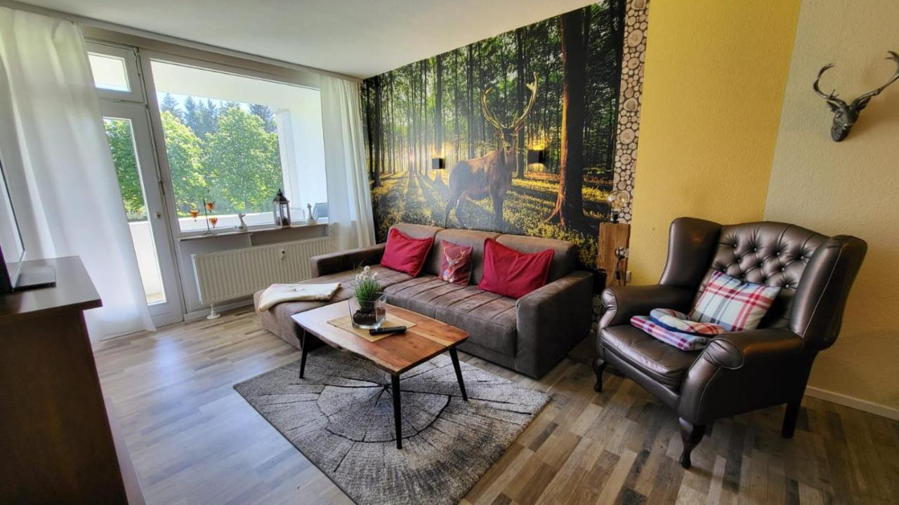 Auenglueck Hahnenklee Harz Apartment